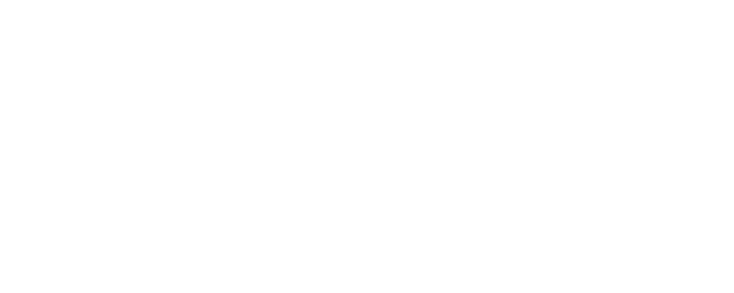Lifeline Children's Services
